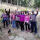 ruta_12-11-16_1