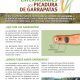 cartel_prevencion_picaduras_garrapatas