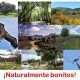 naturalmente bonitos