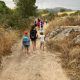 campamentos de verano 2