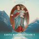 fiestas Virgen del Rosario 2021