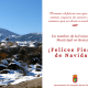 Copia de Copia de Red and White Snow Flakes Border Photo Year in Review Christmas Card