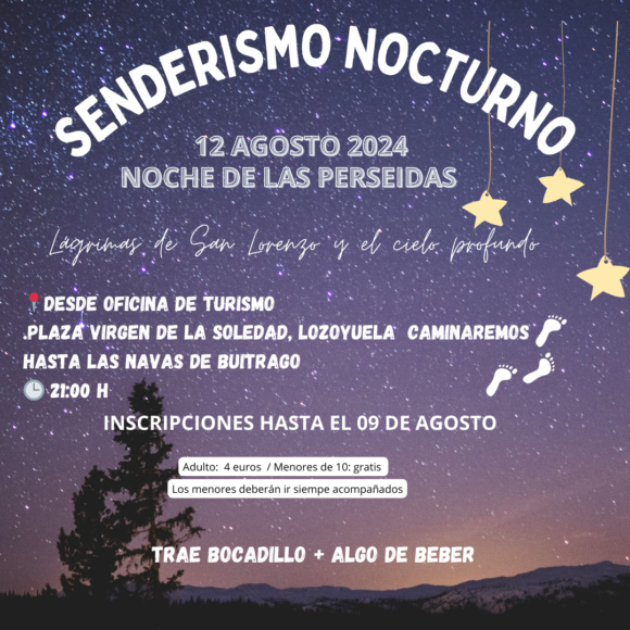 Descubre la Magia de la Noche de las Perseidas con Nuestra Ruta de Senderismo Nocturno NAVAS MANTENIMIENTOS