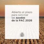 ayudas-pac-2026